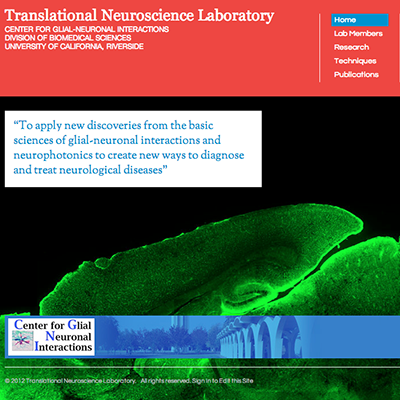 Translational Neuroscience Lab